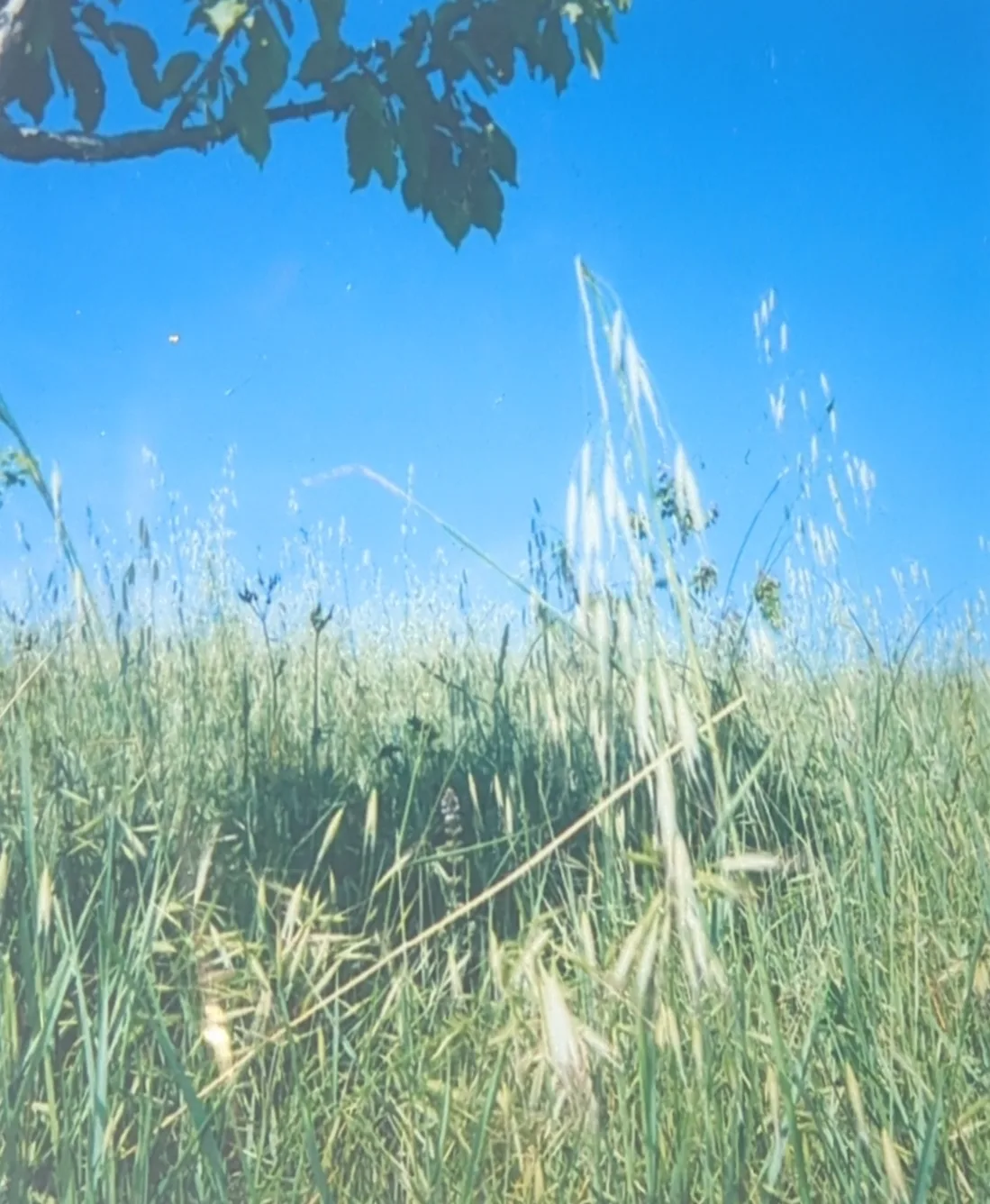 Yoga con Giusi - lezioni di yoga e pratiche di consapevolezza: Ashtanga Yoga, Hatha yoga, Restorative Yoga, Yin Yoga, Meditazione e pratiche di consapevolezza, Scrittura terapeutica, a Manifattura Olistica (Sasso Marconi), a Bologna (Centro Yoga Le Vie) e online. 